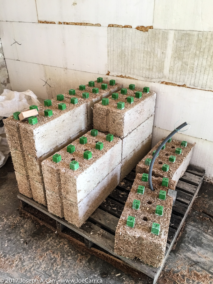 Hemp and lime blocks with structural frame interlocks and conduit